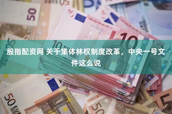 股指配资网 关于集体林权制度改革，中央一号文件这么说