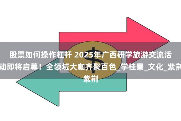 股票如何操作杠杆 2025年广西研学旅游交流活动即将启幕！全领域大咖齐聚百色_学桂景_文化_紫荆