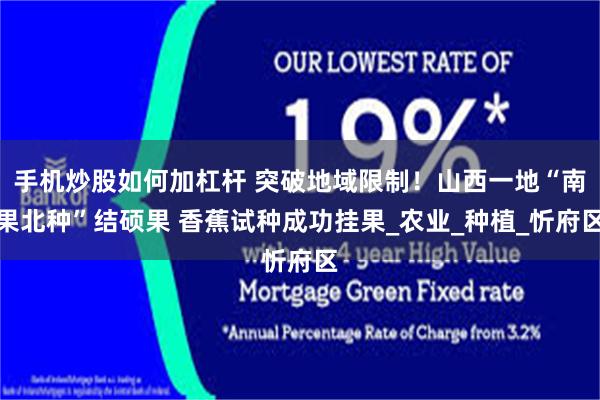 手机炒股如何加杠杆 突破地域限制！山西一地“南果北种”结硕果 香蕉试种成功挂果_农业_种植_忻府区