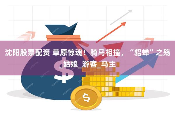 沈阳股票配资 草原惊魂！骑马相撞，“貂蝉”之殇_姑娘_游客_马主