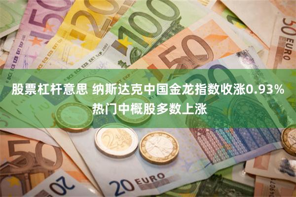 股票杠杆意思 纳斯达克中国金龙指数收涨0.93% 热门中概股多数上涨