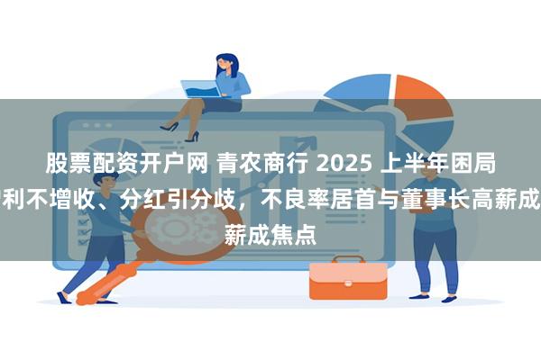 股票配资开户网 青农商行 2025 上半年困局：增利不增收、分红引分歧，不良率居首与董事长高薪成焦点